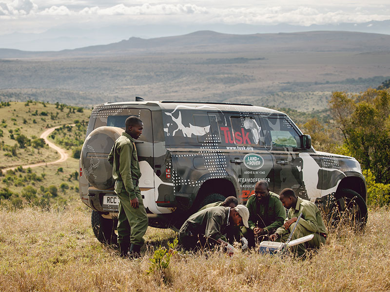 إتمام تجربة لاند روڤر ديفندر الجديدة مع "تسك" لدعم جهود الحفاظ على الأسود في كينيا